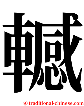 轗 serif font