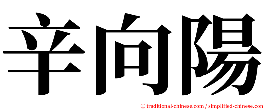 辛向陽 serif font