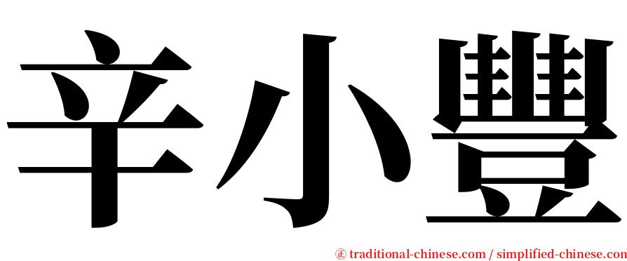 辛小豐 serif font