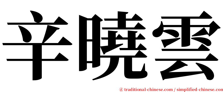 辛曉雲 serif font