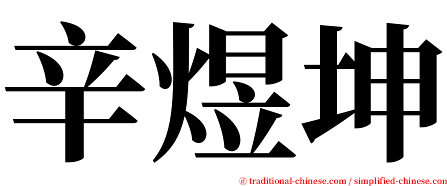 辛煜坤 serif font