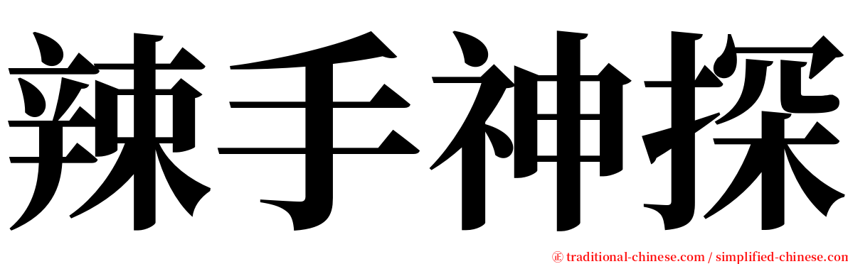 辣手神探 serif font