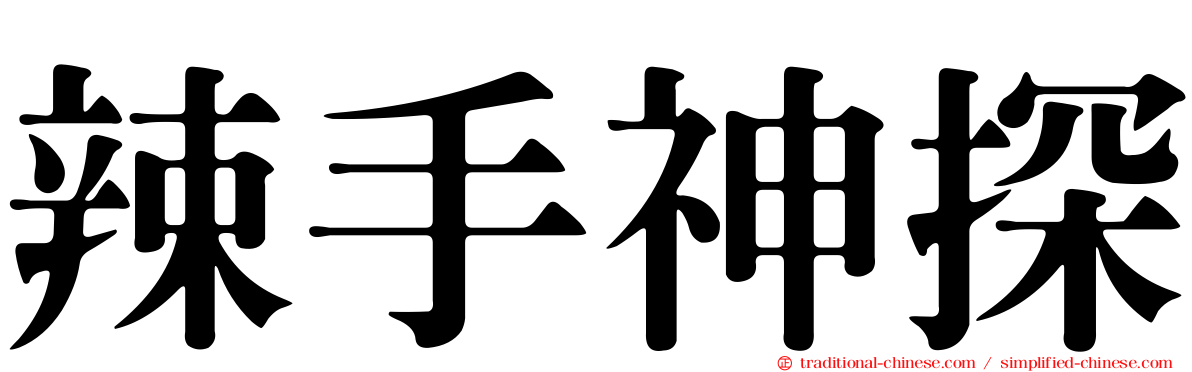 辣手神探