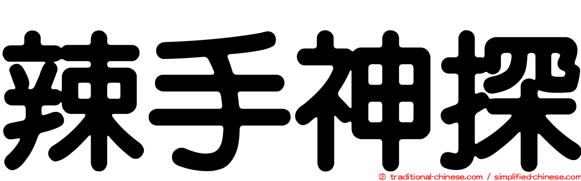 辣手神探