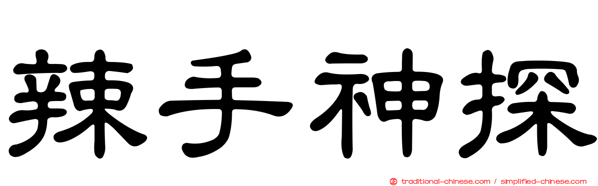 辣手神探