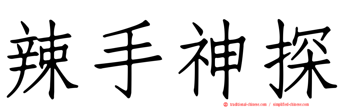 辣手神探