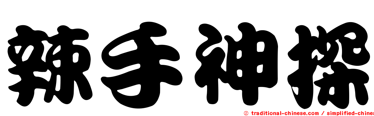 辣手神探