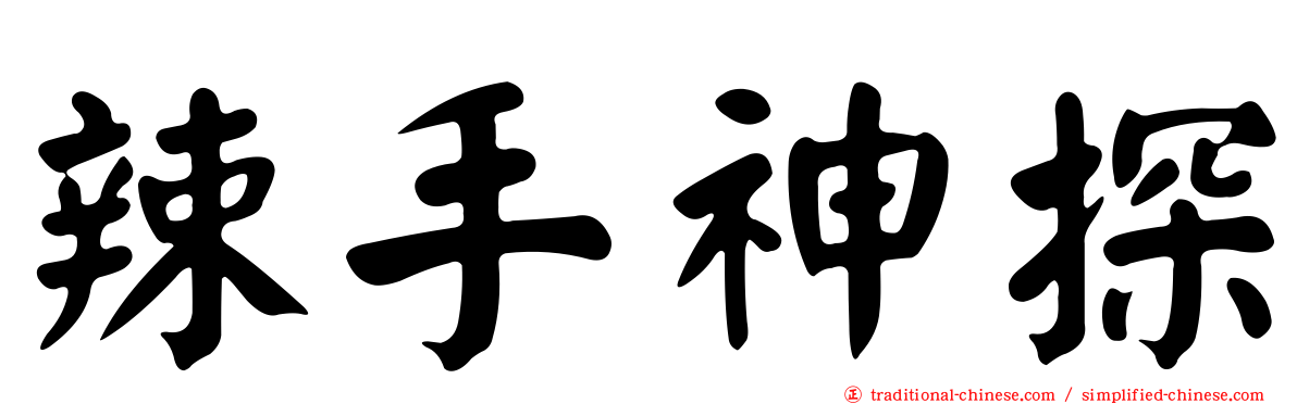 辣手神探