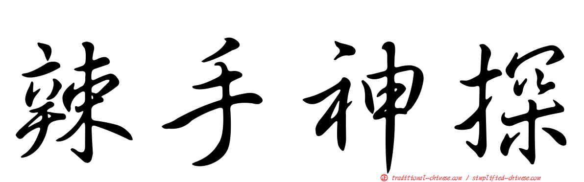 辣手神探