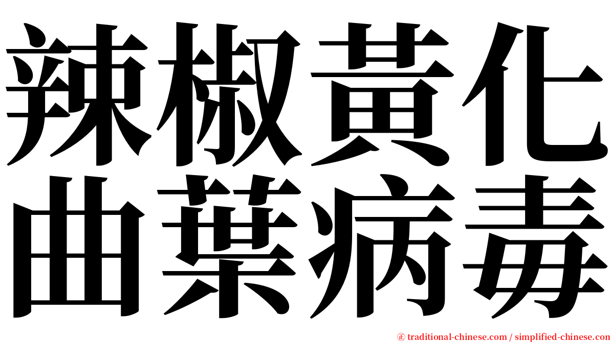 辣椒黃化曲葉病毒 serif font