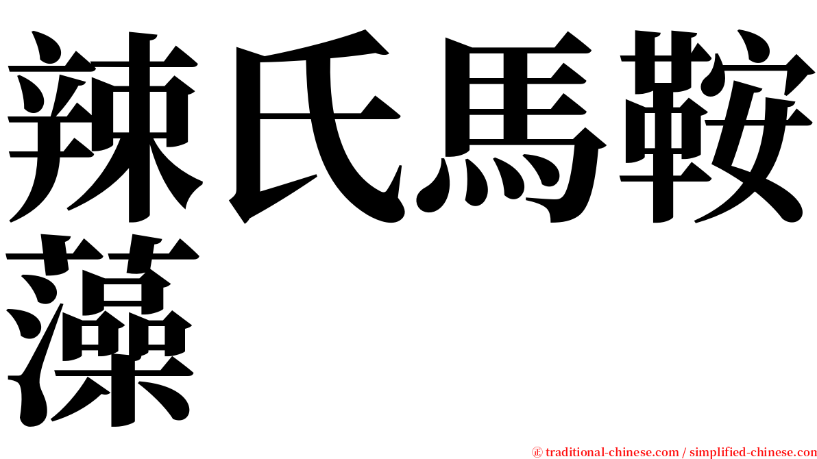 辣氏馬鞍藻 serif font