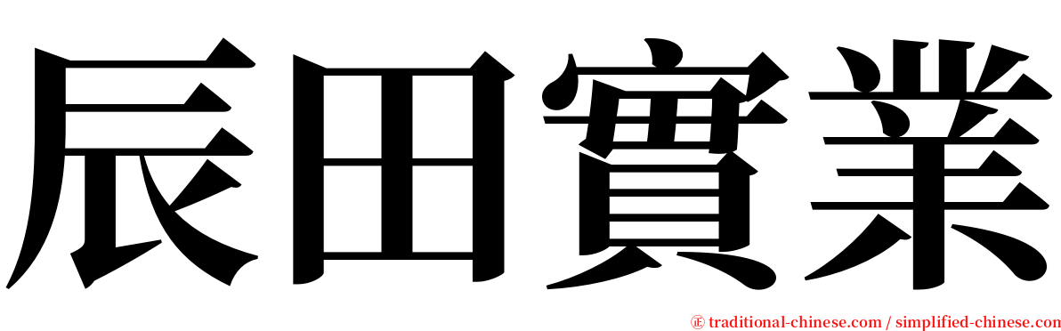辰田實業 serif font