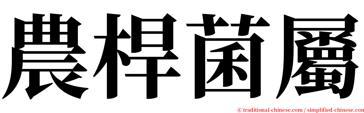 農桿菌屬 serif font