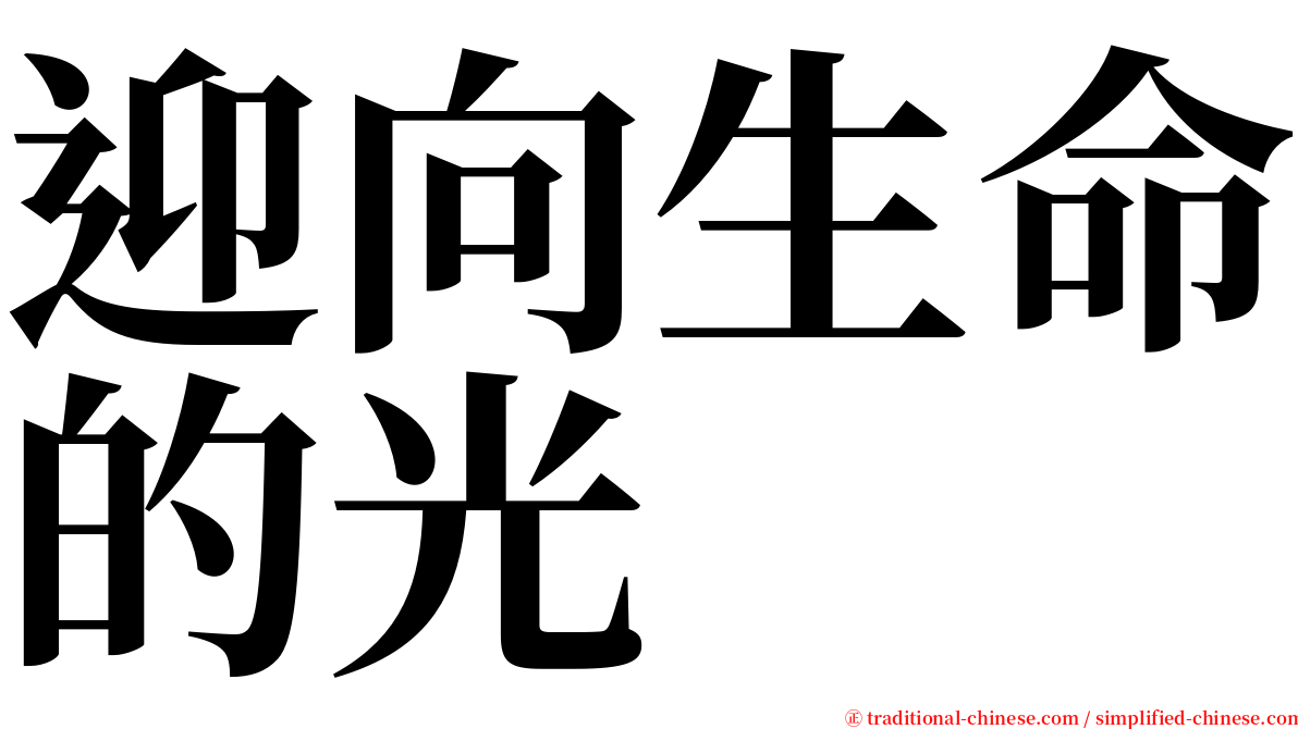 迎向生命的光 serif font