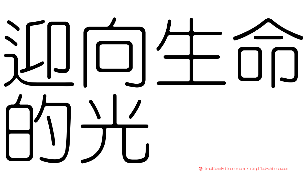 迎向生命的光
