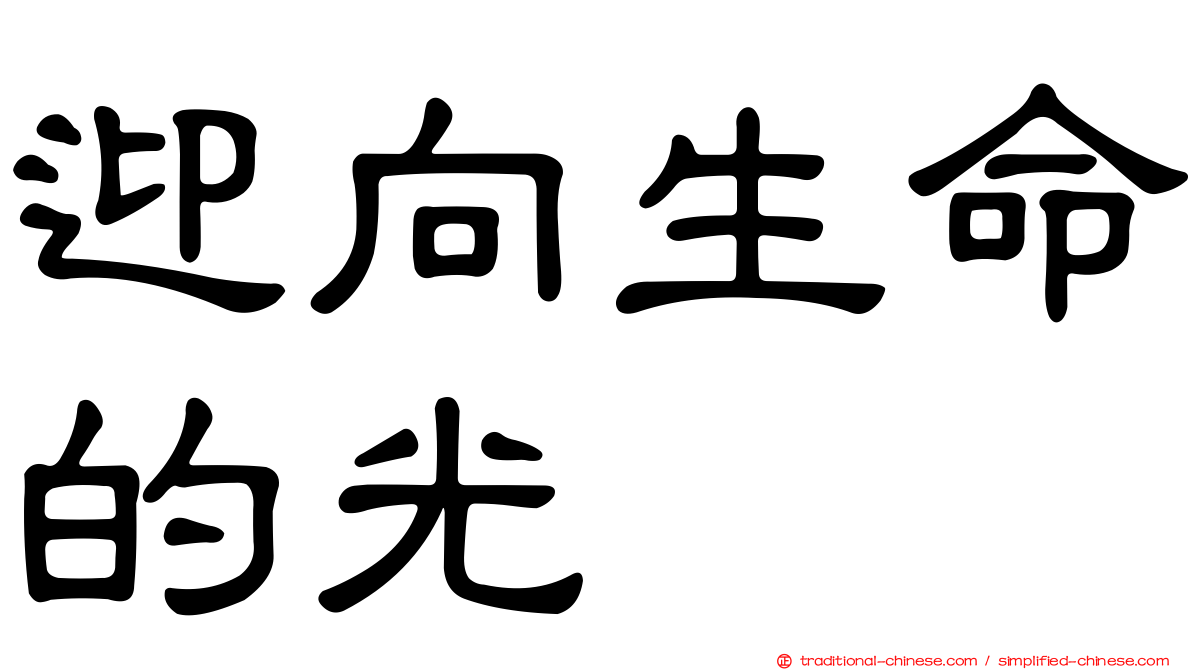 迎向生命的光