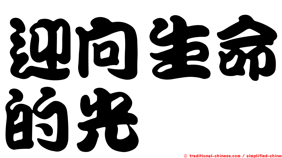 迎向生命的光