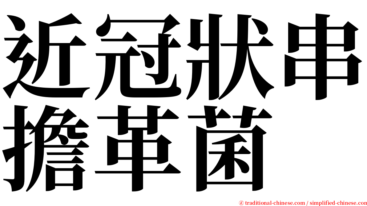 近冠狀串擔革菌 serif font