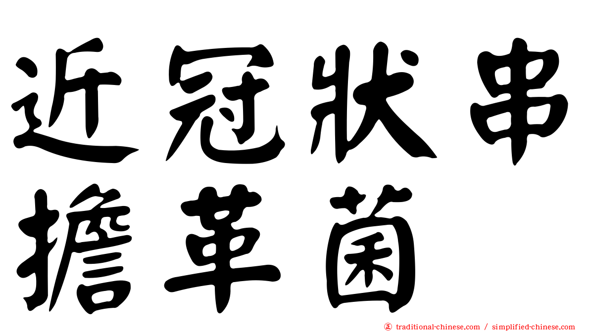 近冠狀串擔革菌