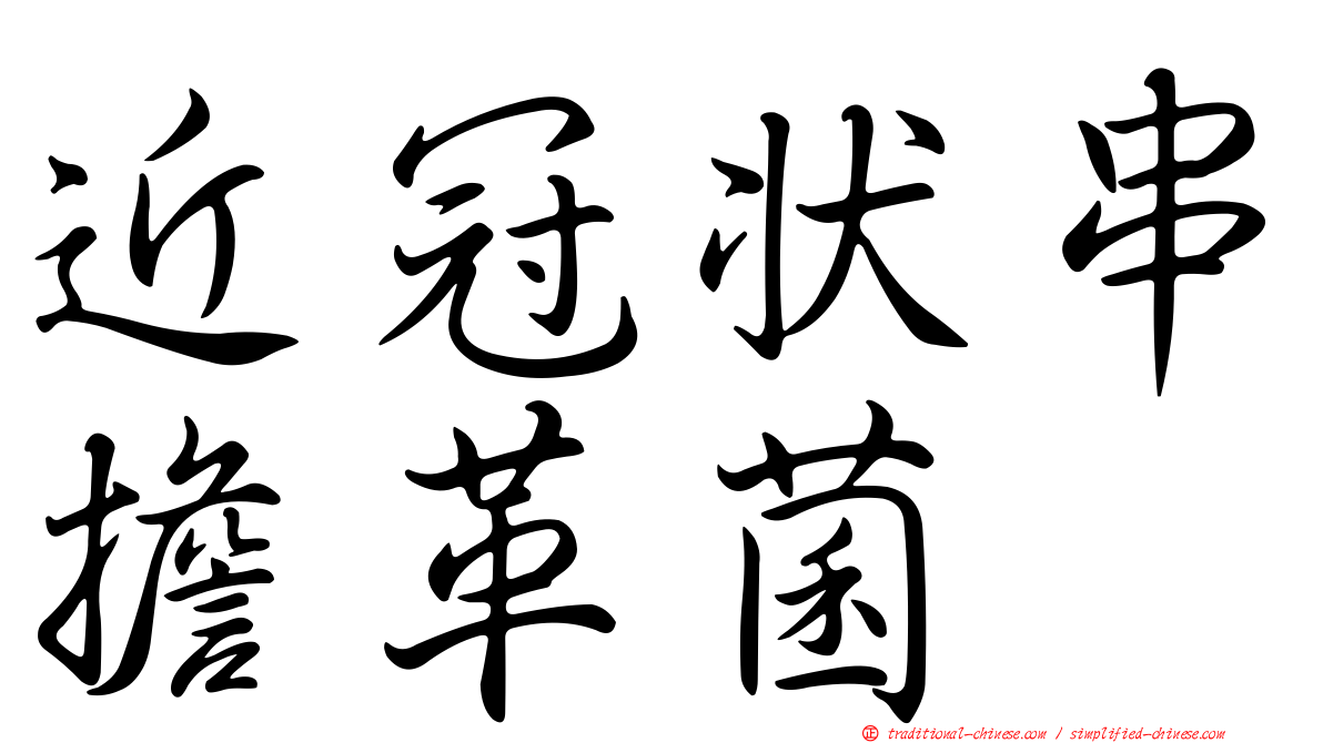 近冠狀串擔革菌
