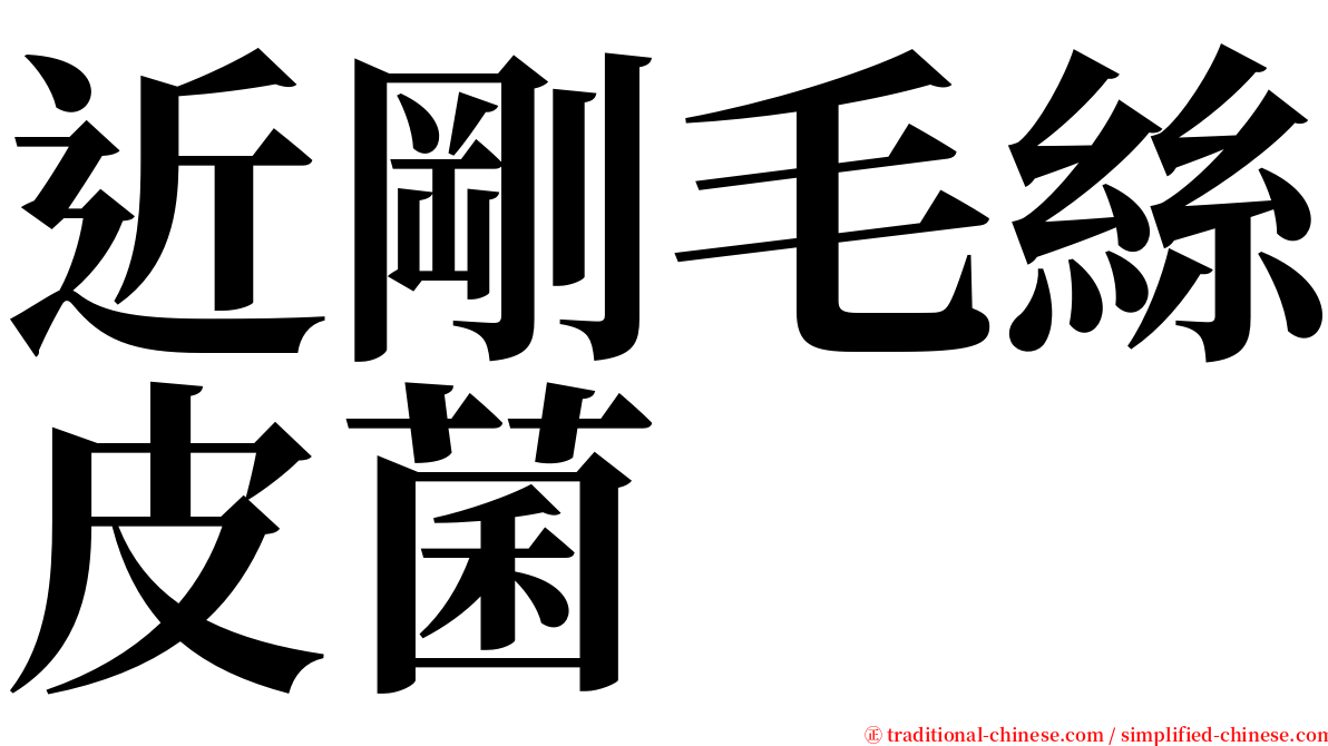 近剛毛絲皮菌 serif font