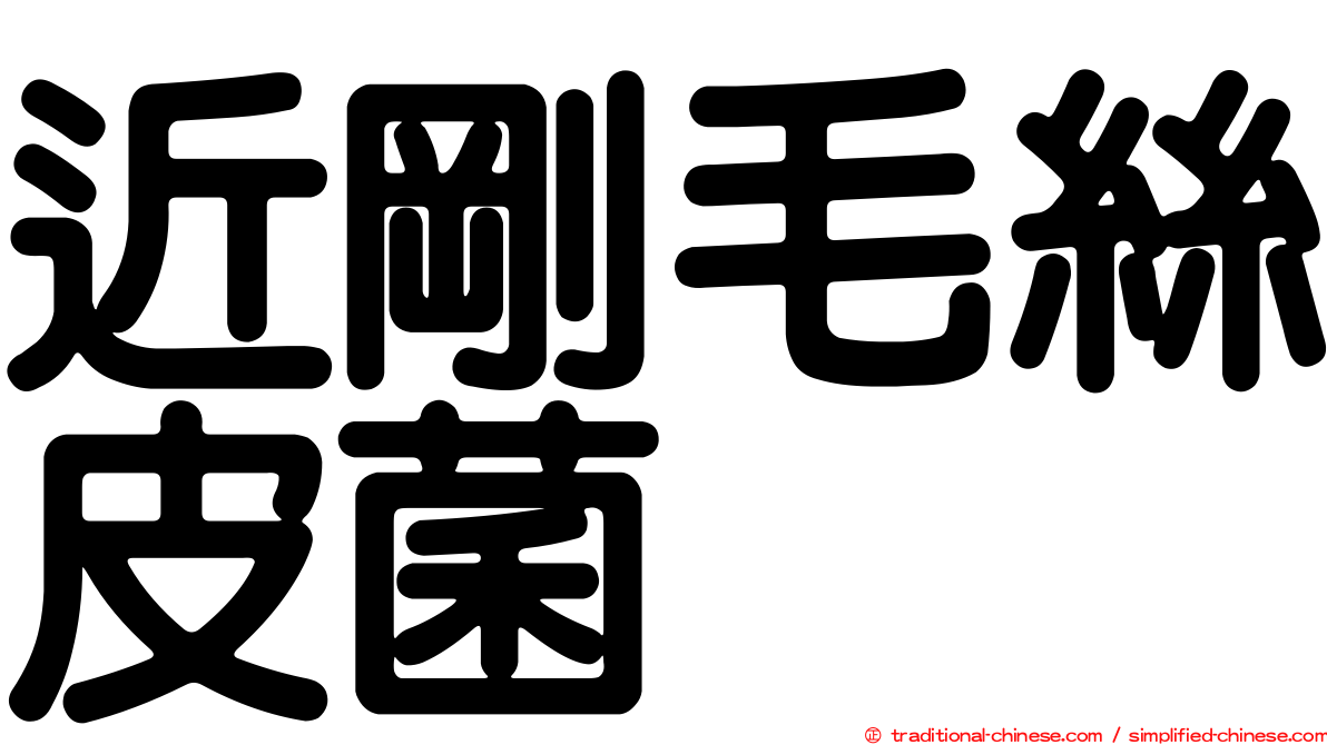 近剛毛絲皮菌