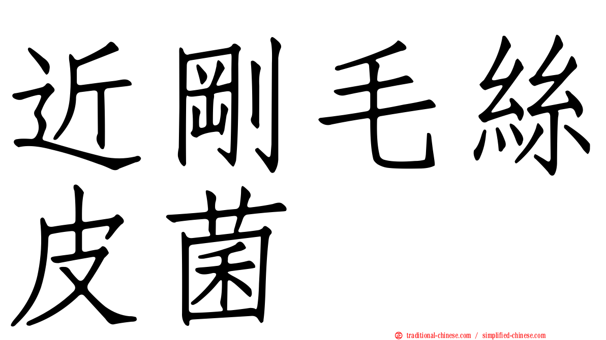 近剛毛絲皮菌