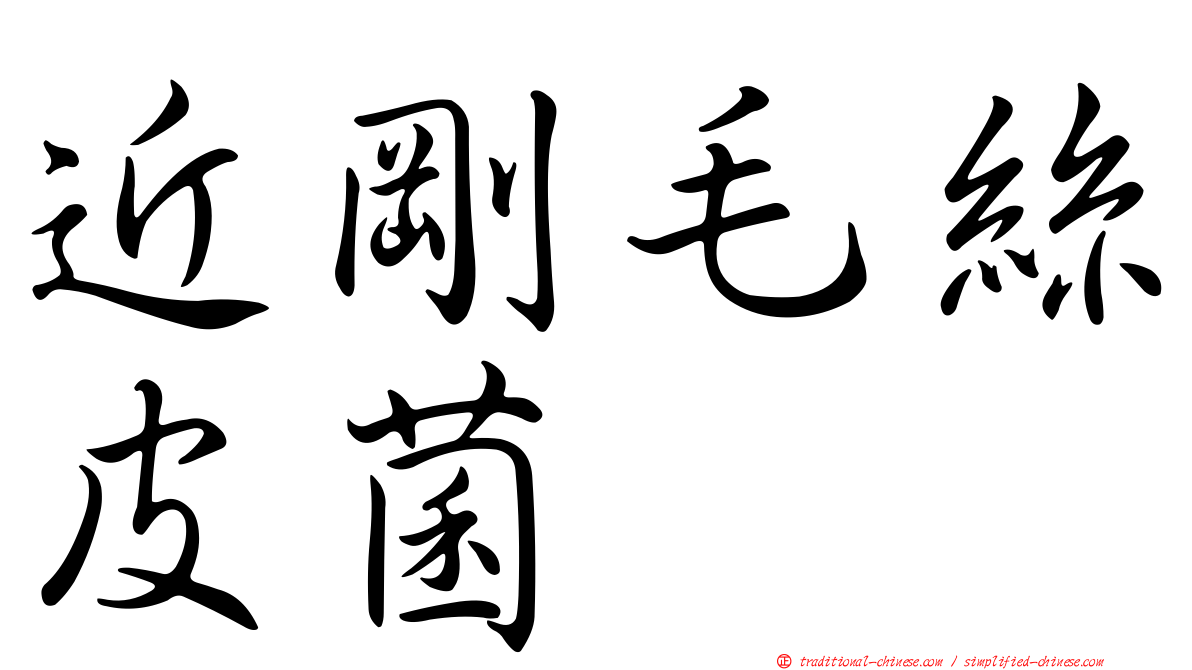 近剛毛絲皮菌