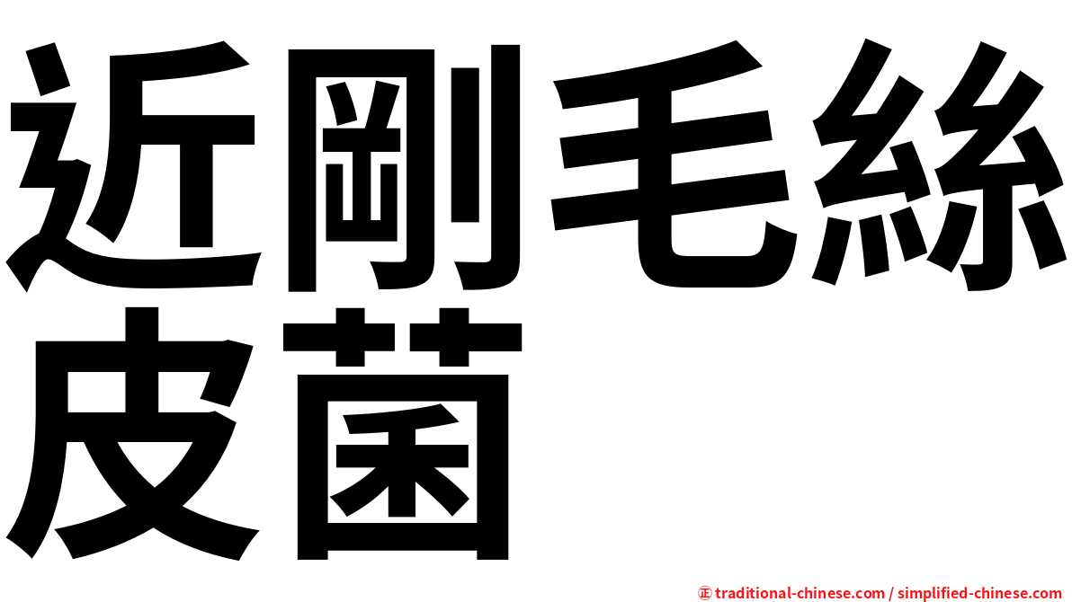 近剛毛絲皮菌