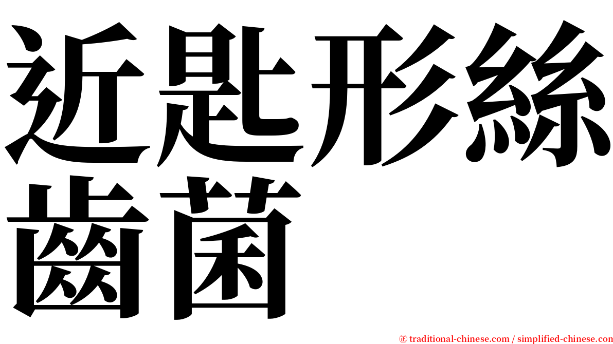 近匙形絲齒菌 serif font