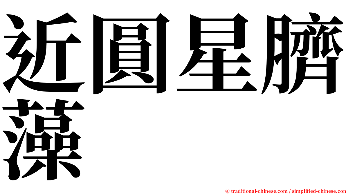 近圓星臍藻 serif font