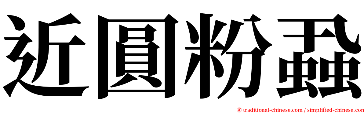 近圓粉蝨 serif font