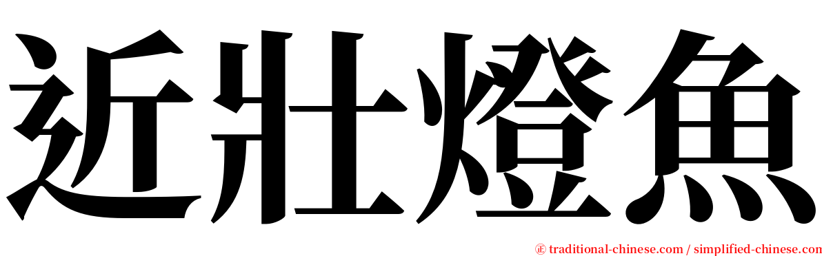 近壯燈魚 serif font