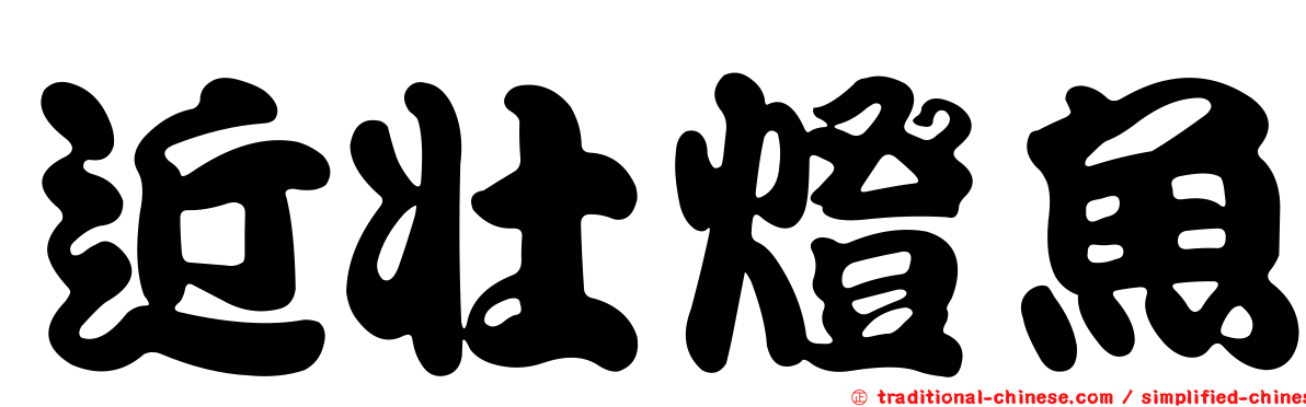 近壯燈魚