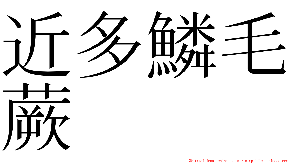 近多鱗毛蕨 ming font