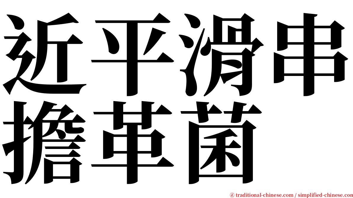 近平滑串擔革菌 serif font