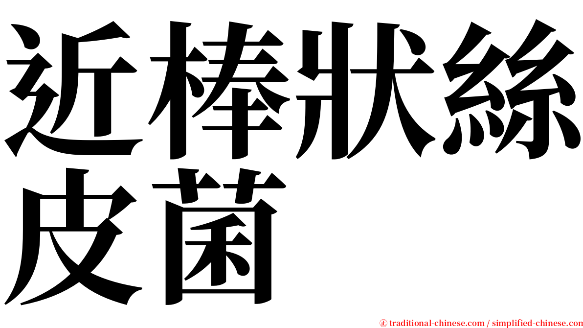 近棒狀絲皮菌 serif font