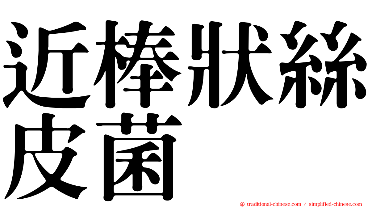 近棒狀絲皮菌