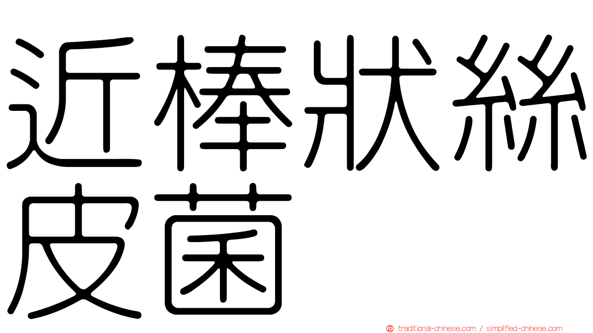 近棒狀絲皮菌