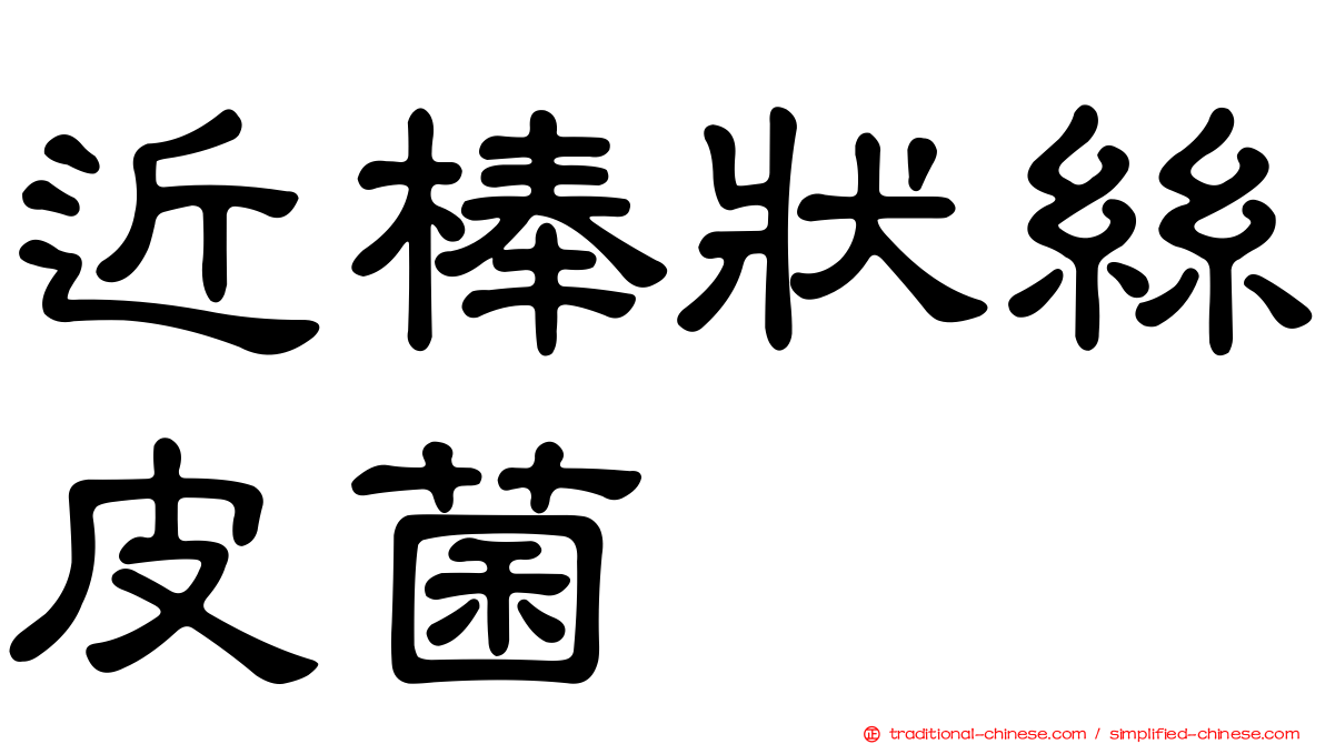 近棒狀絲皮菌