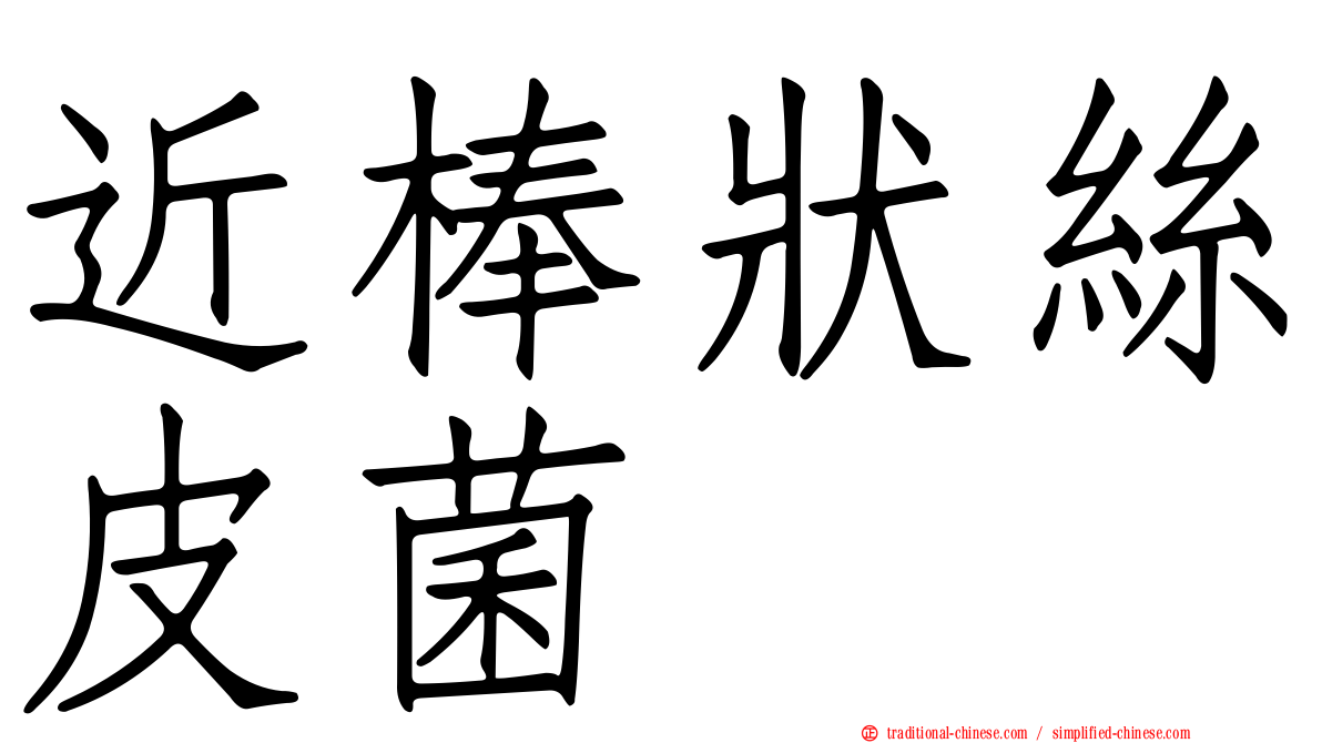 近棒狀絲皮菌
