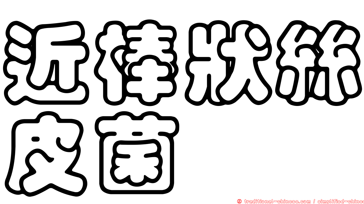 近棒狀絲皮菌