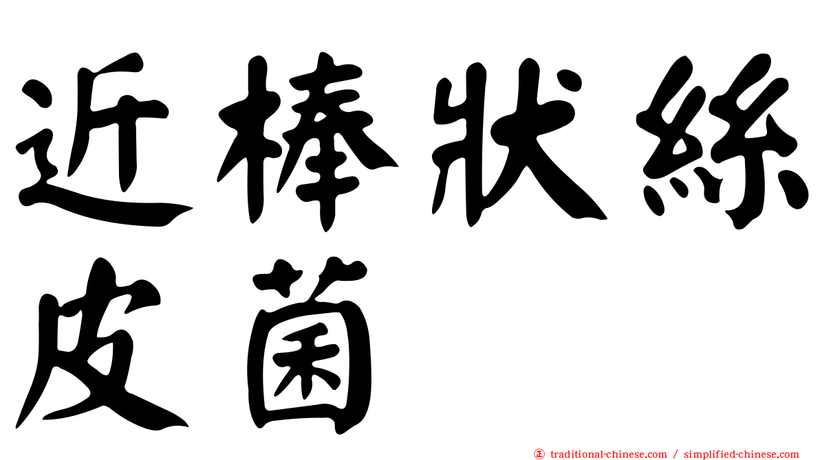 近棒狀絲皮菌