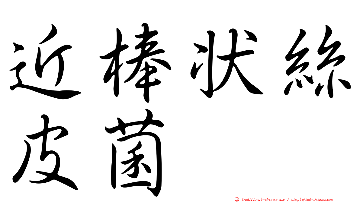 近棒狀絲皮菌