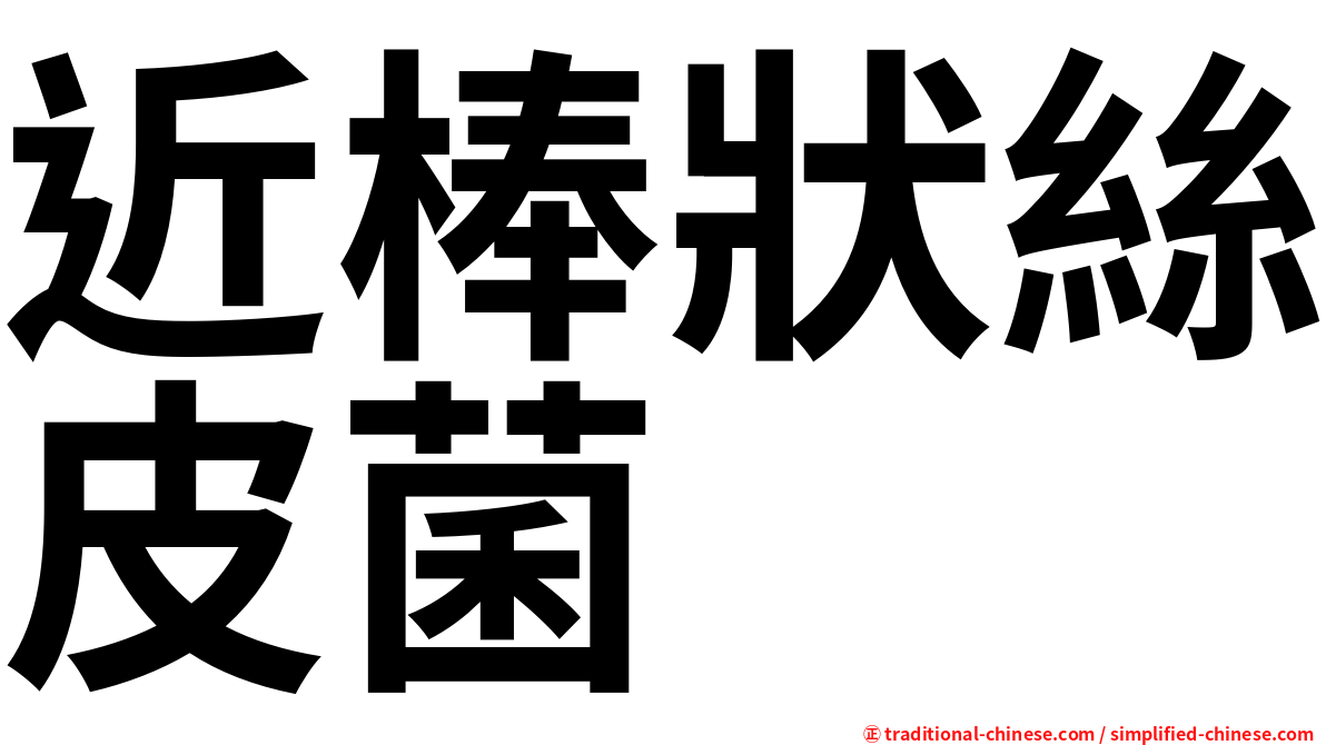 近棒狀絲皮菌