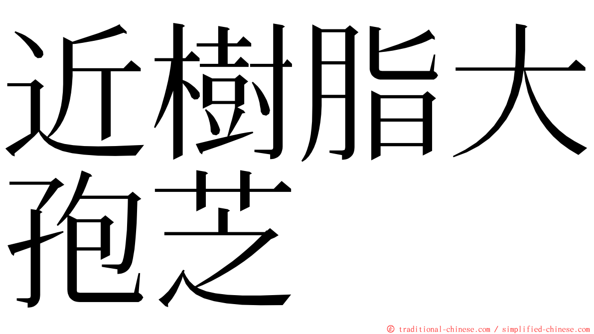 近樹脂大孢芝 ming font