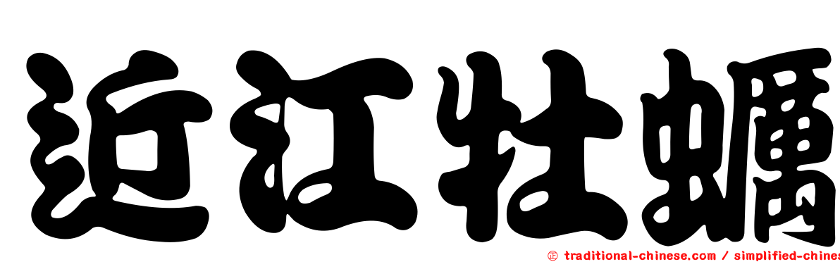 近江牡蠣