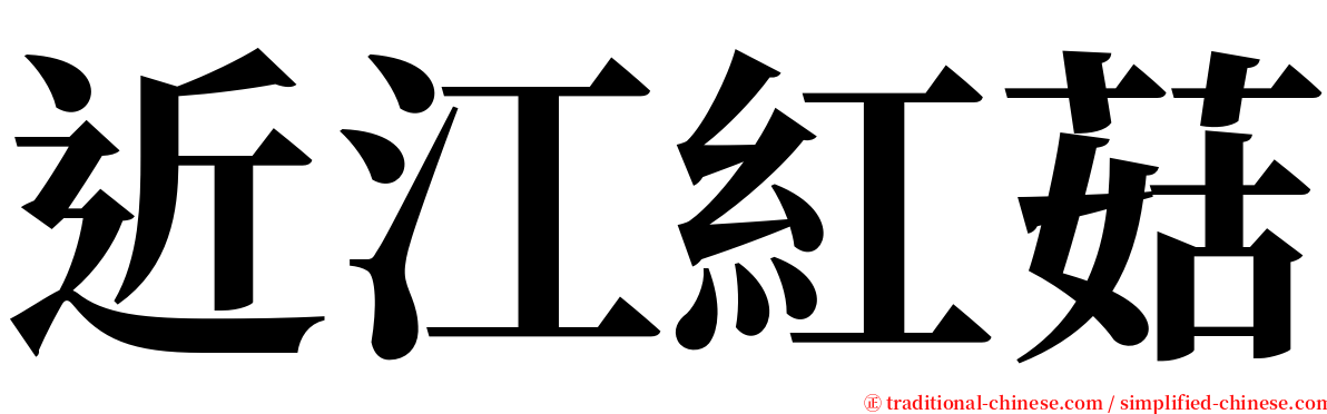 近江紅菇 serif font