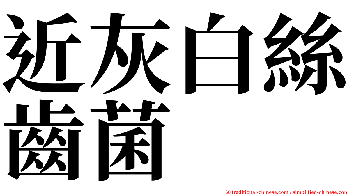 近灰白絲齒菌 serif font