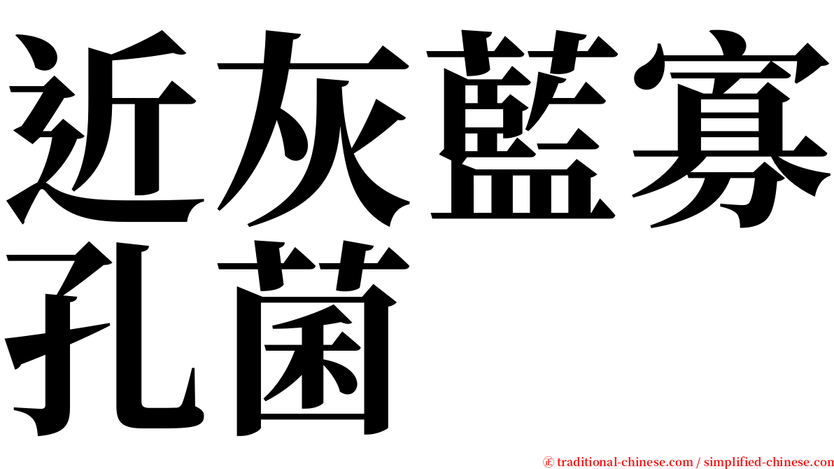 近灰藍寡孔菌 serif font